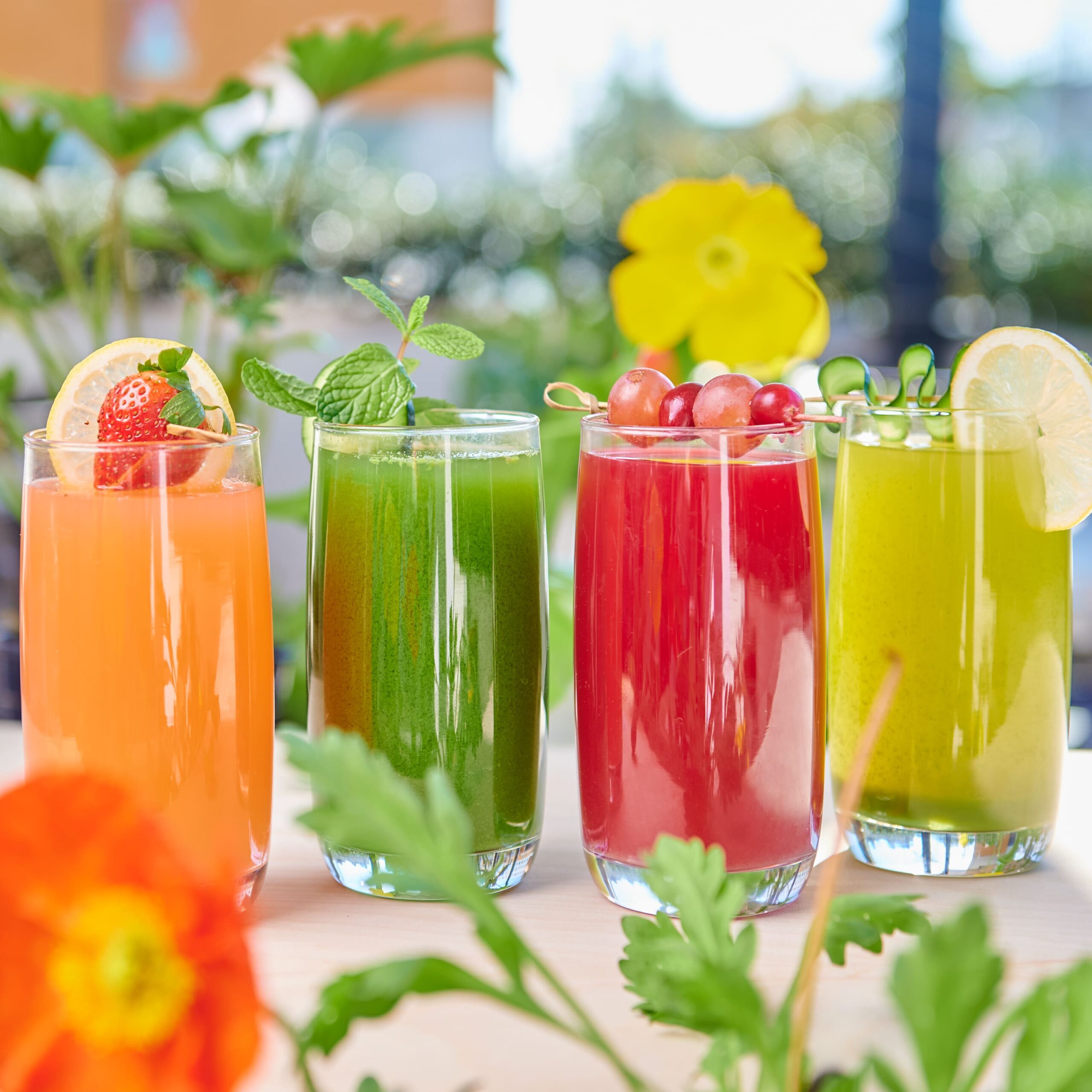 Start the new year by ditching meat and joining Veganuary at Café Gratitude! The beloved plant-based restaurant is offering a juice cleanse made with delicious fresh juices, wellness shots, and smoothies.