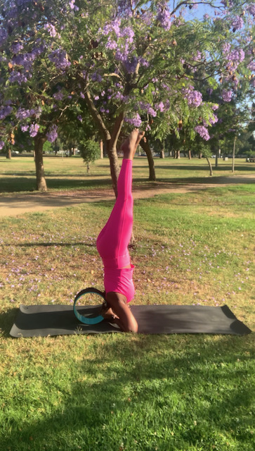 A woman is standing in a headstand which increases digestion, reduces inflammation by draining accumulated lymphatic fluid from the legs and upper body, and circulates blood to your face, hair, and brain. 