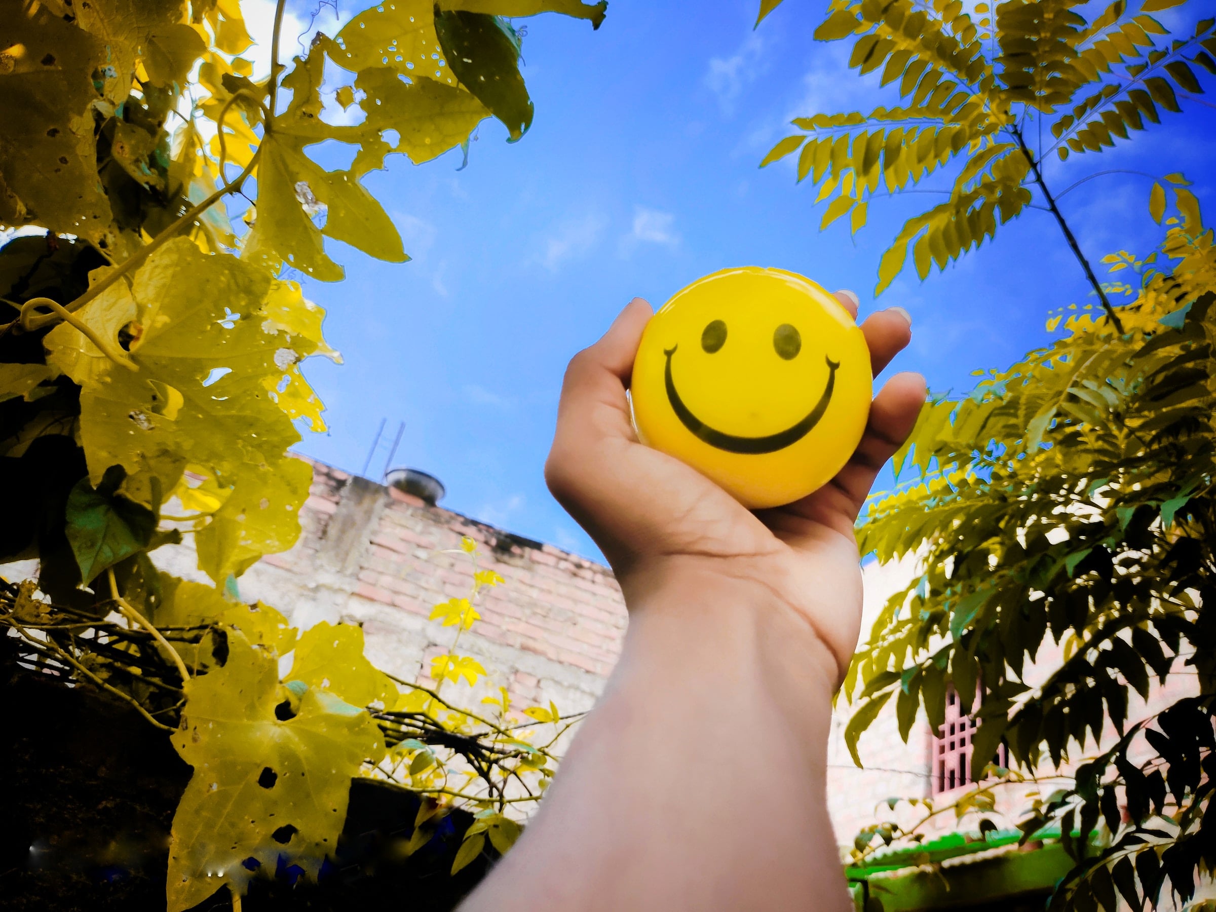 An image of a hand holding a smile face with leaves and the blue sky in the background.