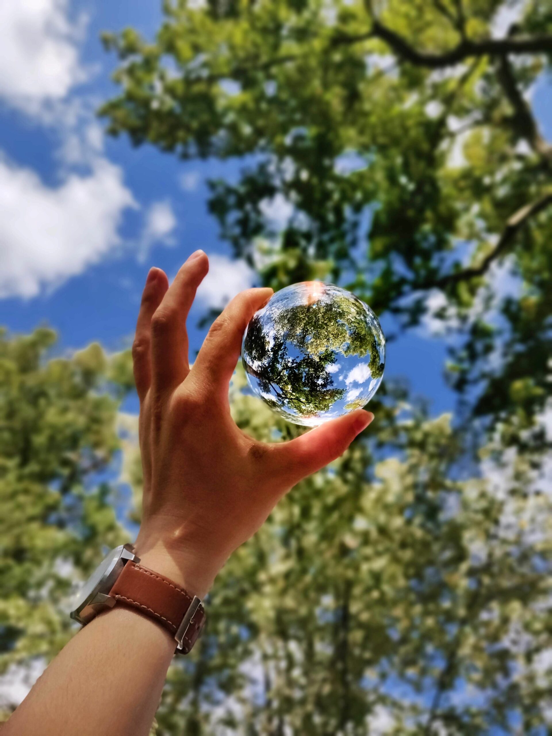 An image of a person holding a glass ball in the sky, with the trees and sky reflecting to resemble the earth.