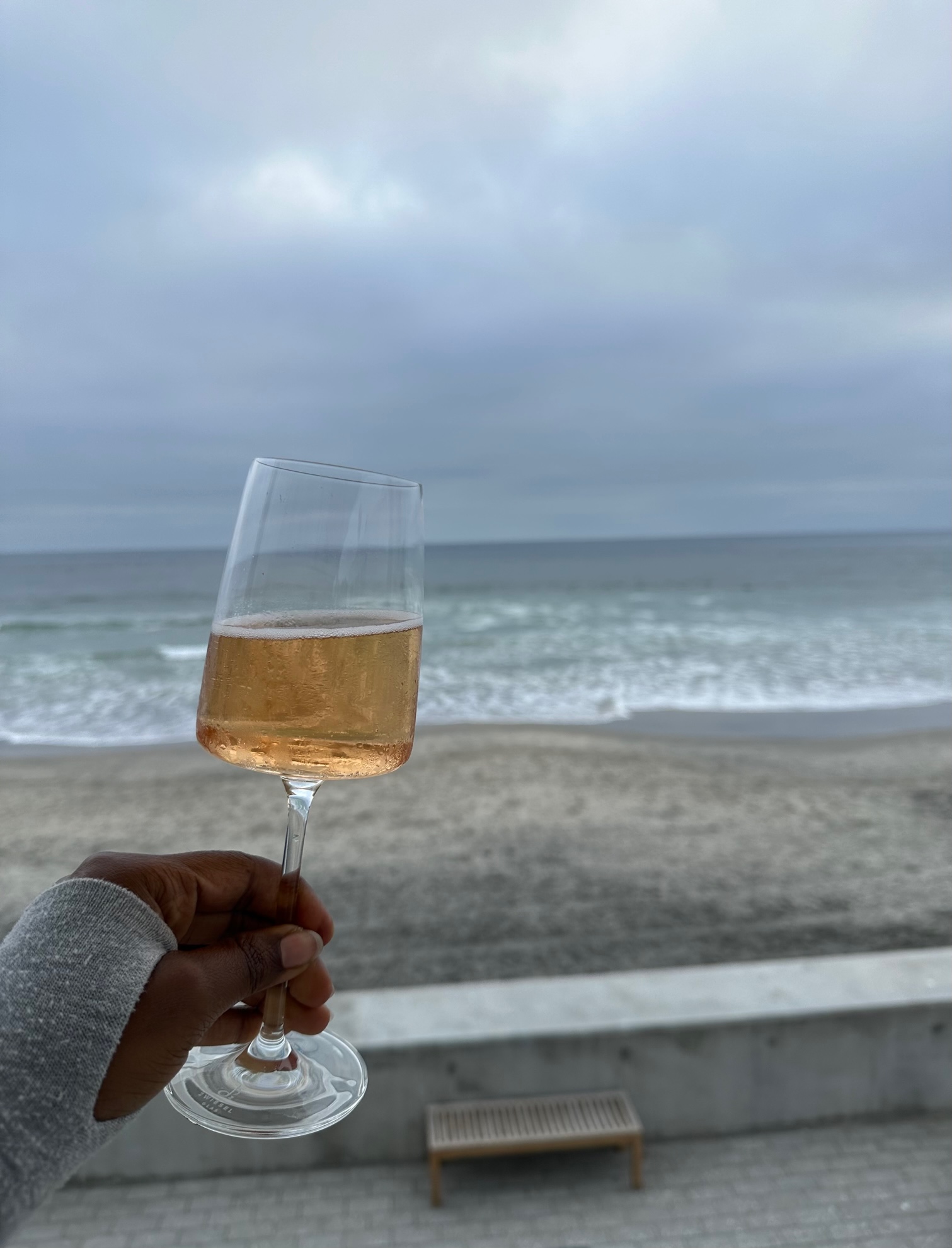 An image of Ariel holding a glass of wine with Del Mar Beach and the ocean as a backdrop.