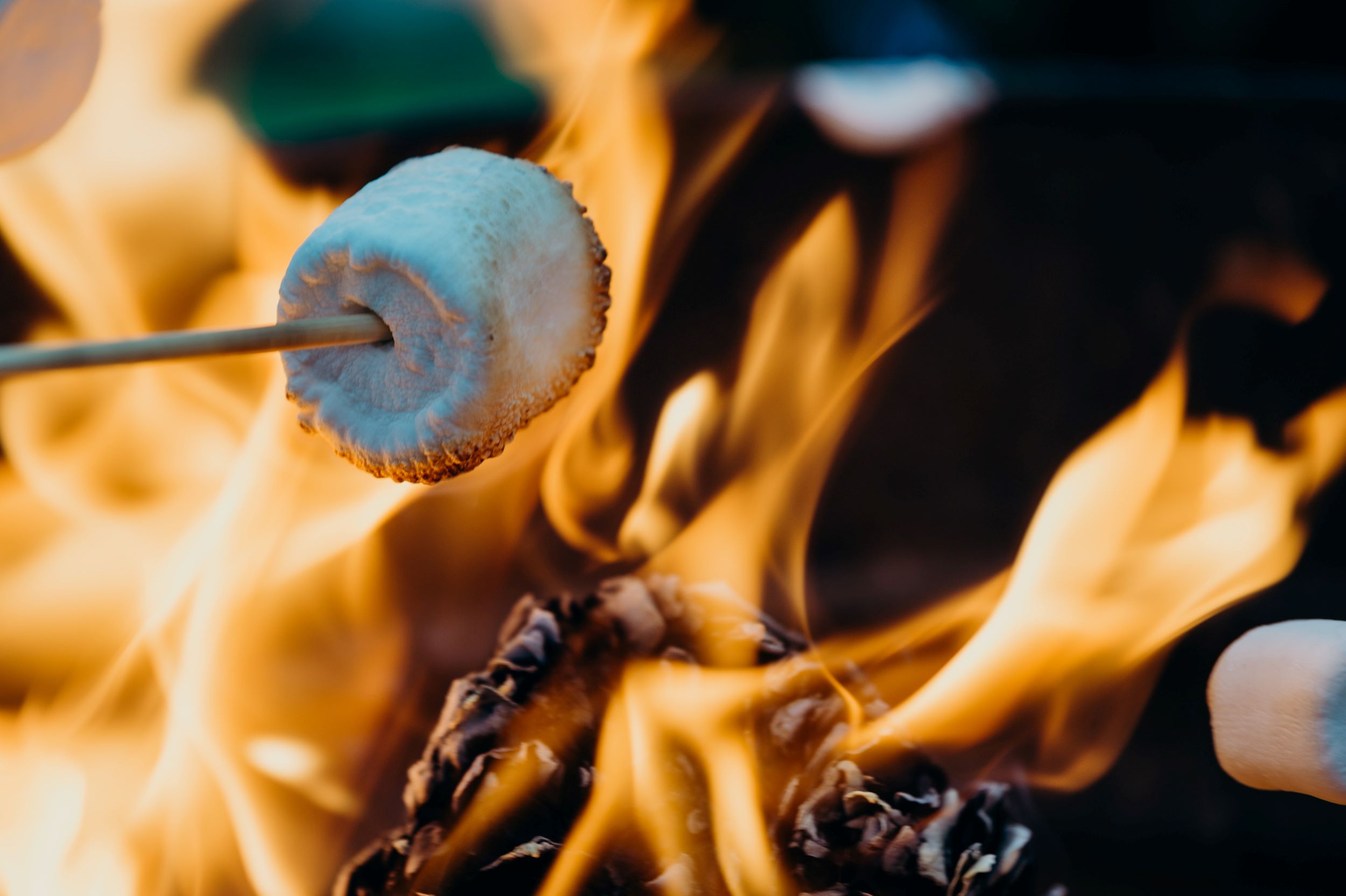 An image of someone roasting marshmallows.
