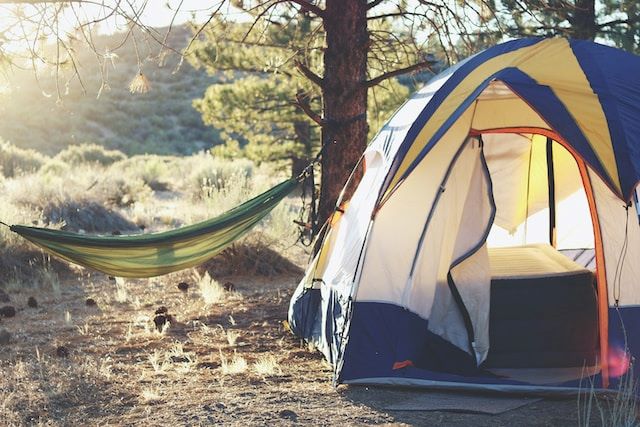 An image of a tent and hammock in the woods.