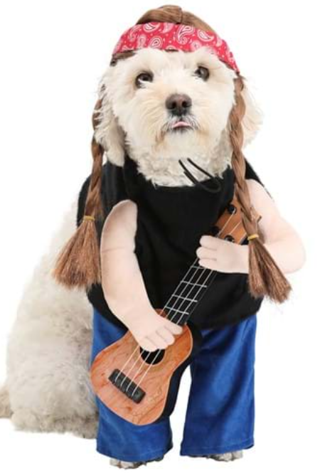 An image of a dog dressed in a Willie Nelson costume.