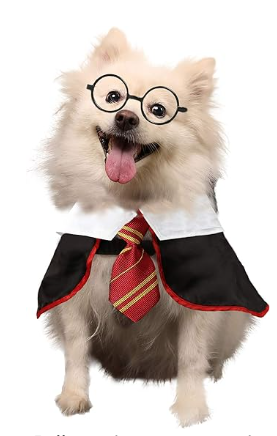 An image of a dog dressed in a boy wizard costume.
