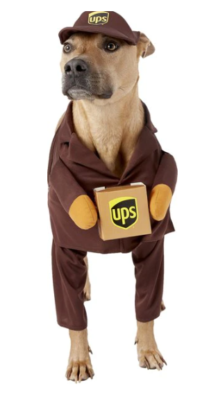 An image of a dog dressed in a UPS pet costume.