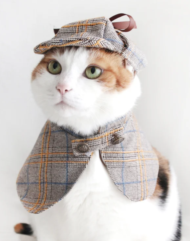 An image of a cat dressed as a detective.