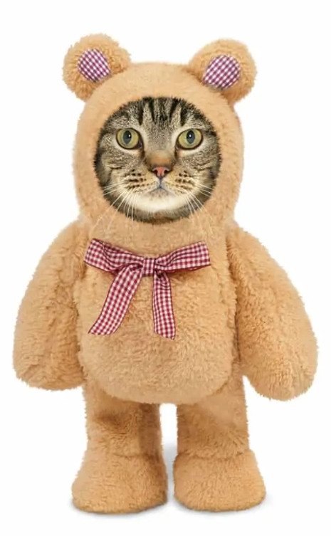 An image of a cat dressed up as a walking teddy bear.