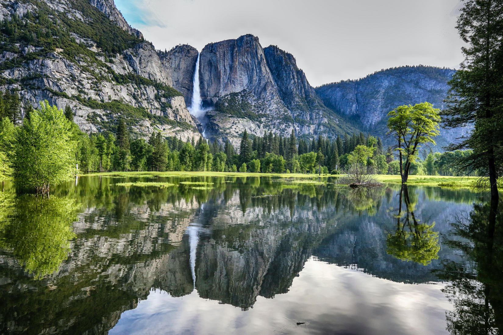 An image of Yosemite National Park.