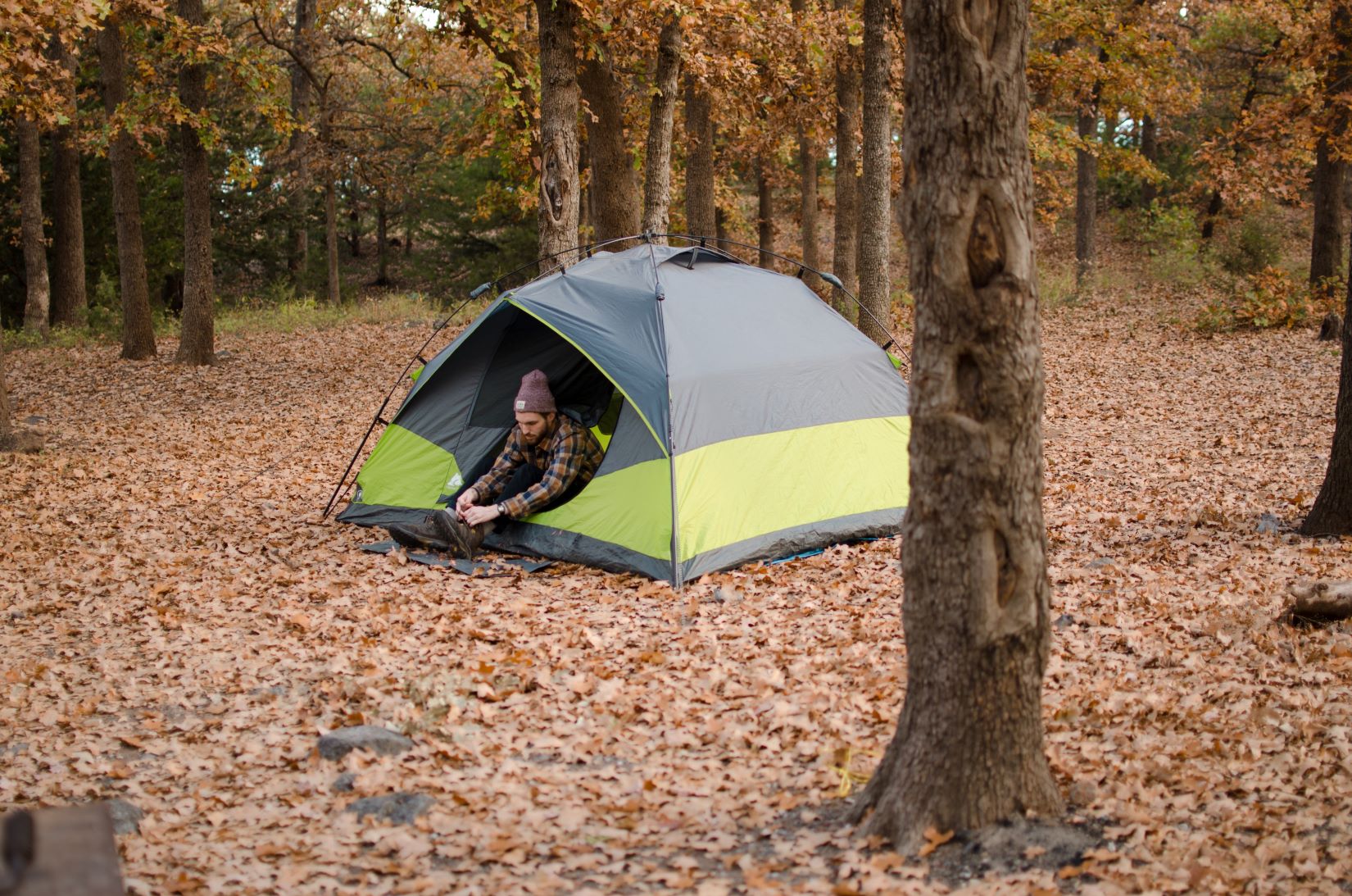 An image of a person in a tent in the woods.