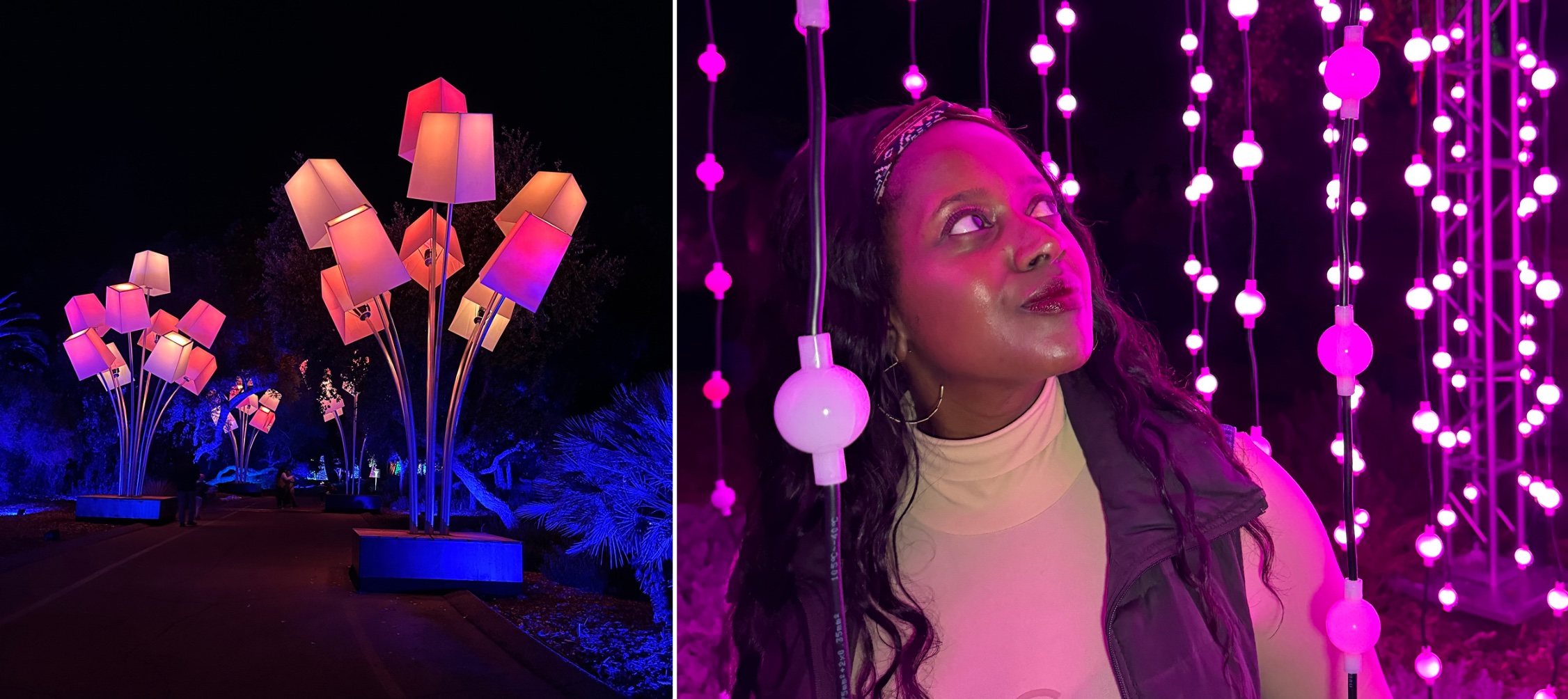 Light Up Your Holidays at LIGHTSCAPE, the Immersive Holiday Light Experience at the LA Arboretum