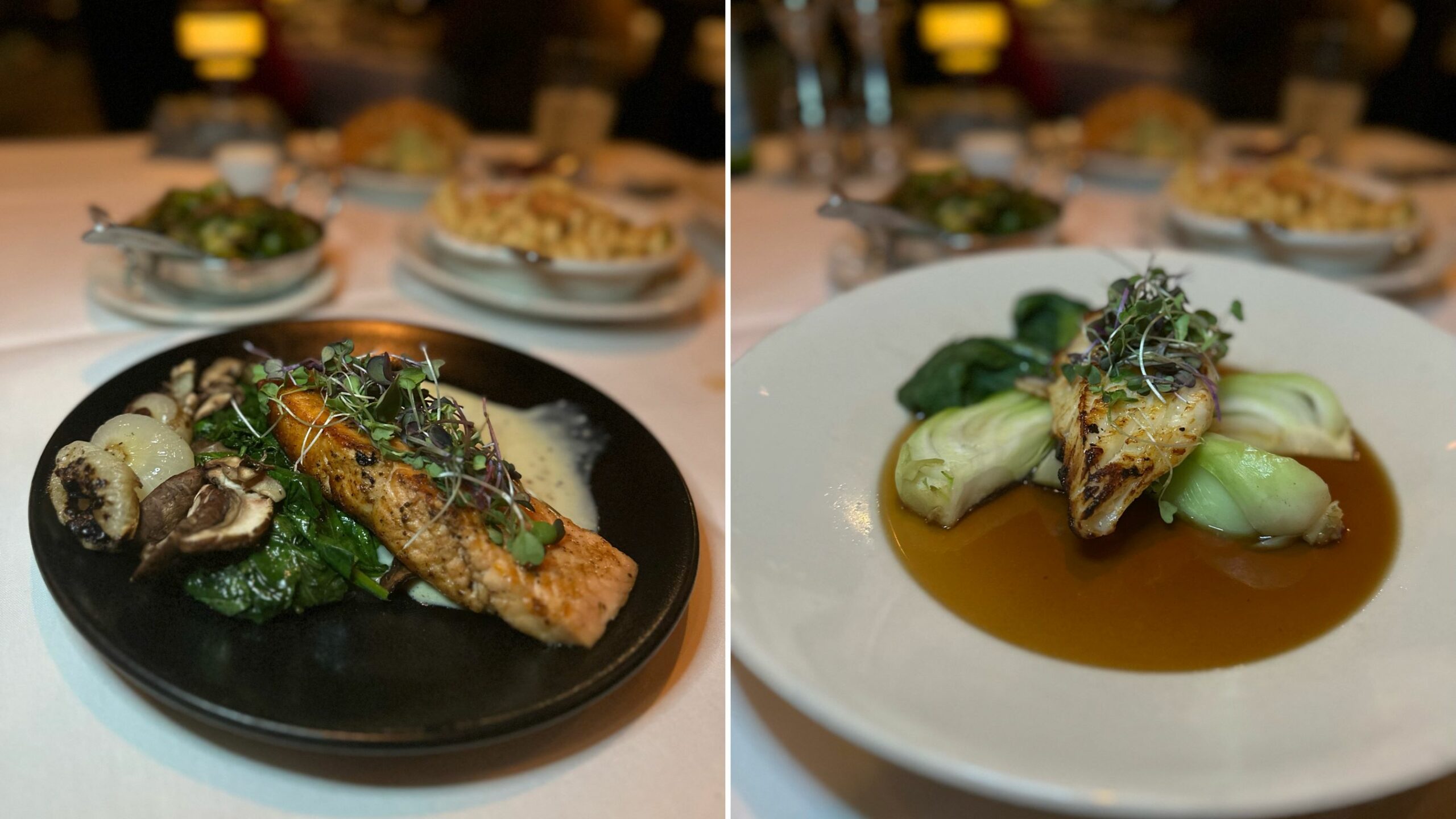 An image of the Ora King Salmon and Miso Marinated Sea Bass.