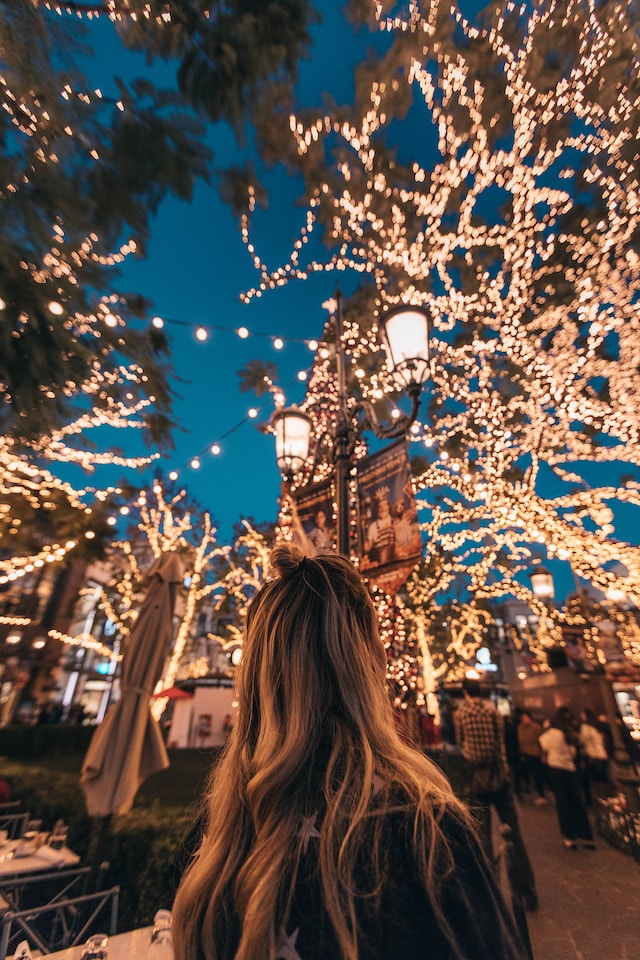 An image of someone looking at Christmas lights.