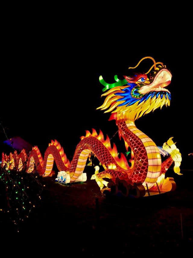An image of a Chinese dragon during a Lunar New Year parade.