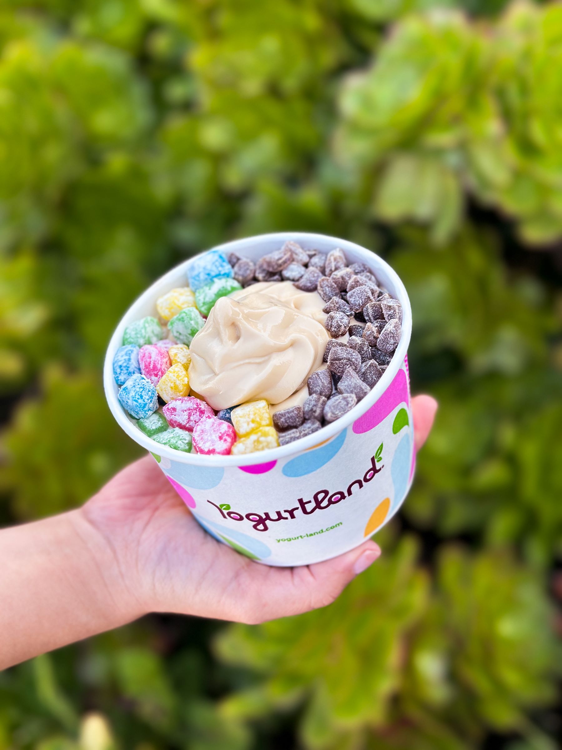 An image of someone holding a cup of Yogurtland froyo