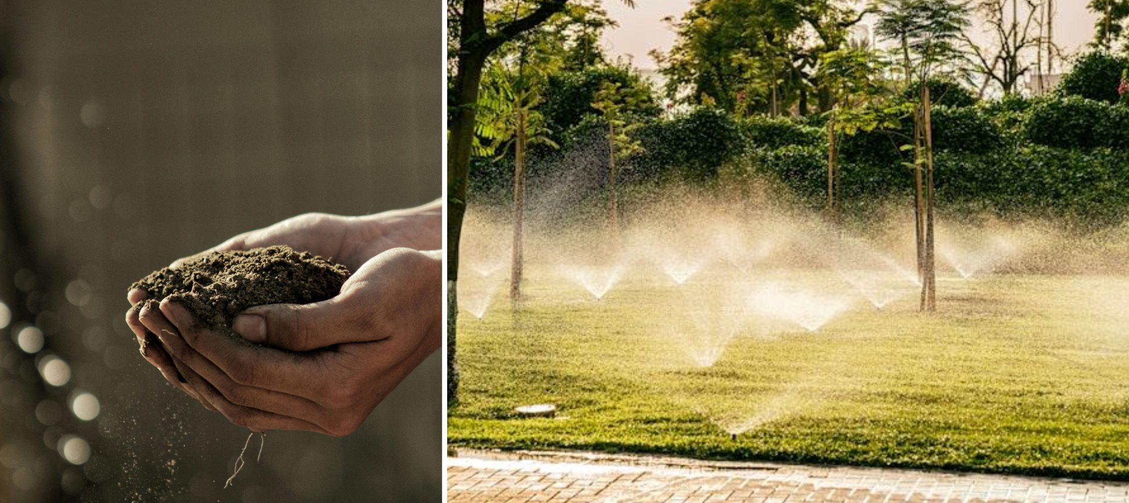 Unlocking the Power of Irrigation: A Guide to Efficient Yard Watering