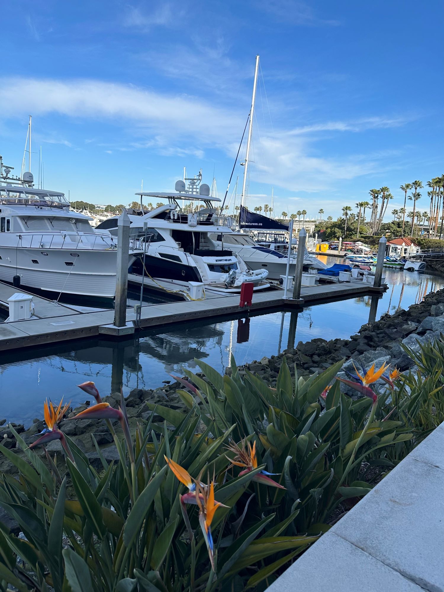 An image of the marina at the Sheraton San Diego Hotel & Marina.