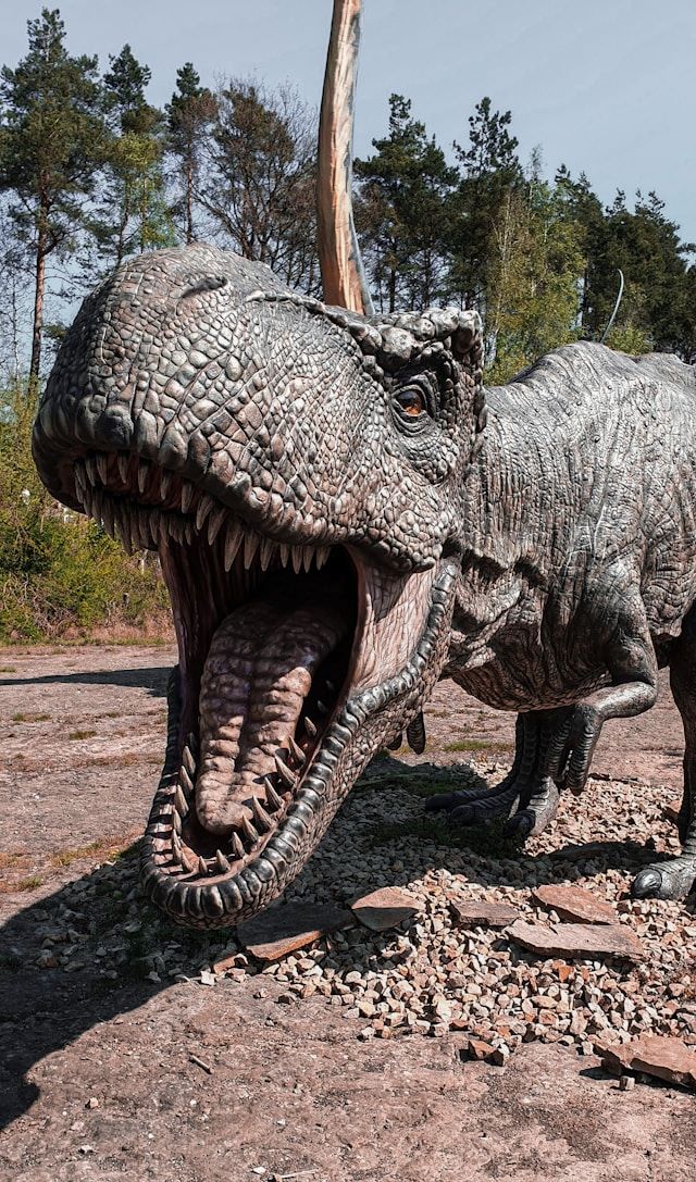 An image of a T-Rex dinosaur.