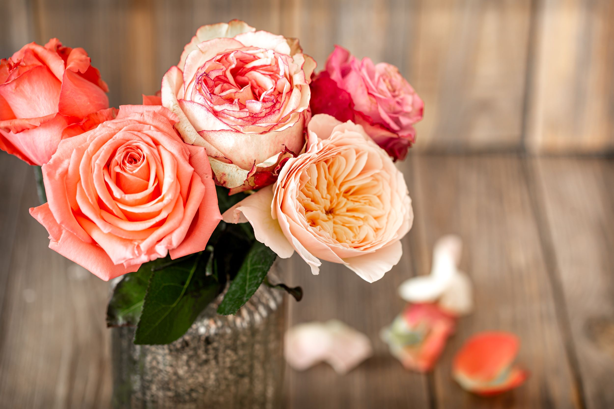 An image of a vase filled with different shades of pink roses.