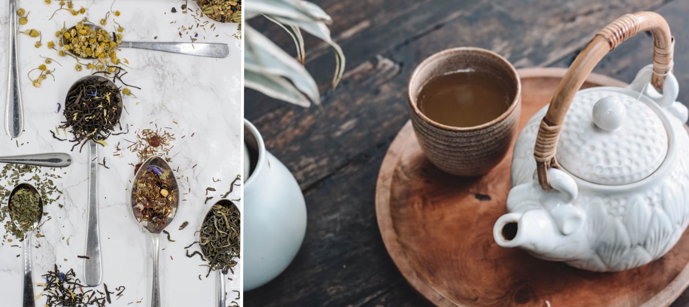 Exploring Specialty Teas: Varieties That Shine in an 8 oz. Cup