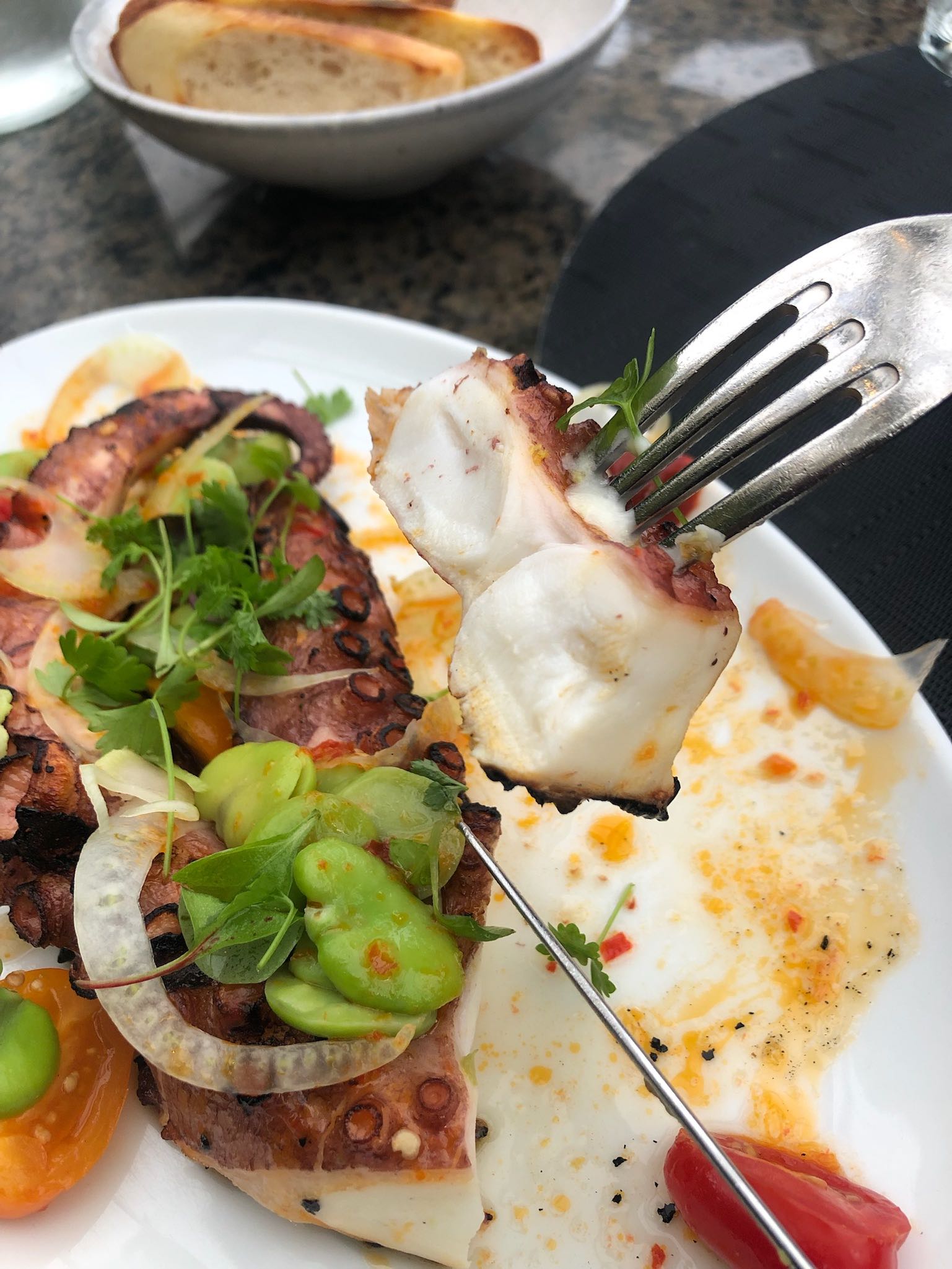 An image of the grilled octopus.