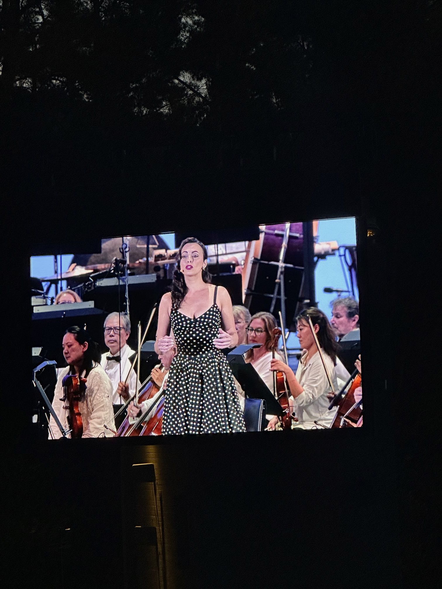 An image of opera sensation Isabel Leonard singing her heart out.