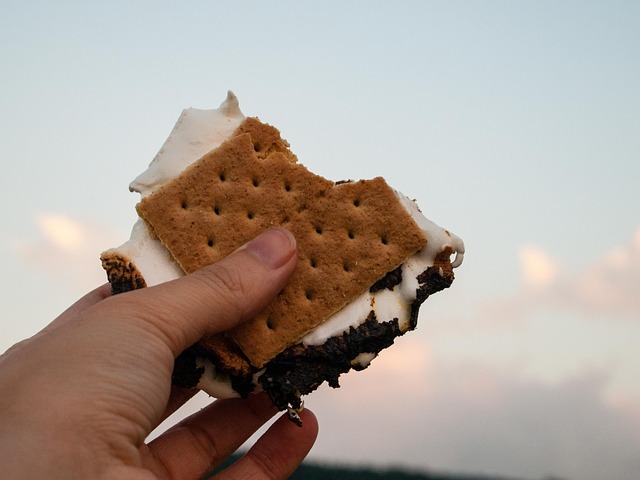 An image of someone holding a s'more at a beach day.