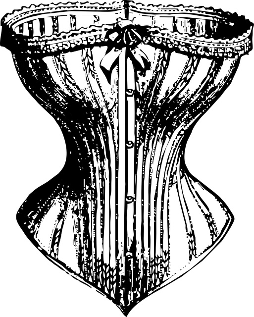 An illustration of a corset.