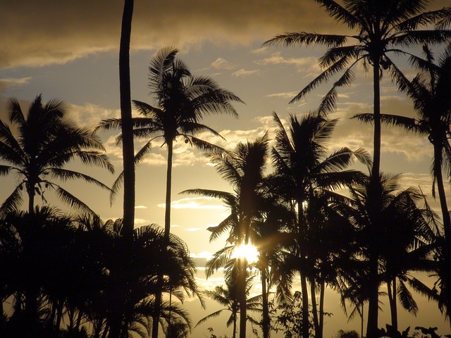 An image of a sunset on the beach of Fiji where the Love Island USA cast lived for the season.