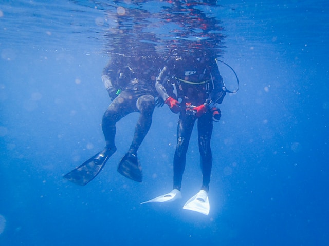 An image of two scuba divers.