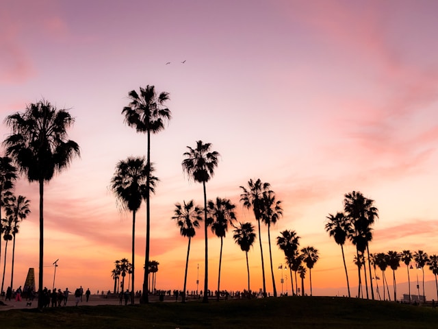 An image of Venice Beach.