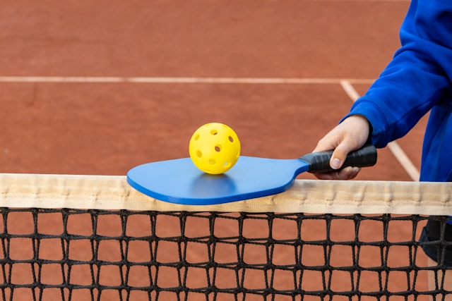 An image of a pickleball paddle, ball, and net.