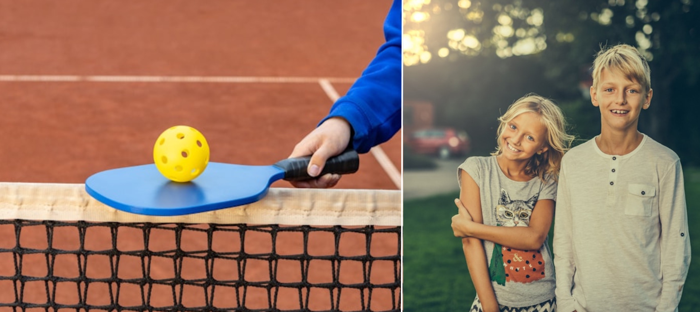 An image of a pickleball paddle, ball, and net