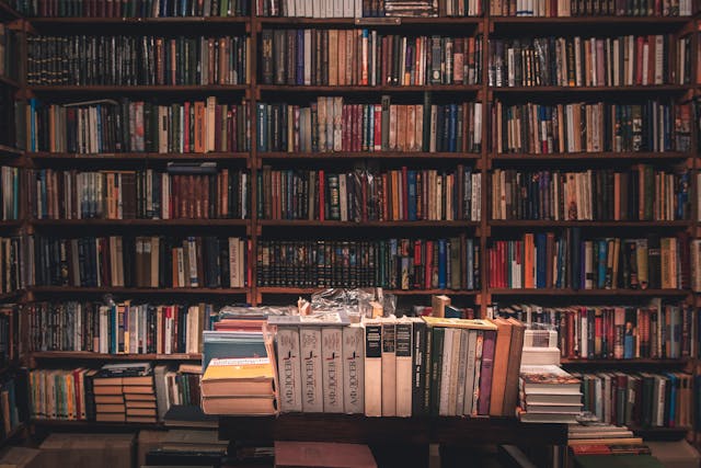 An image of books in a bookstore.