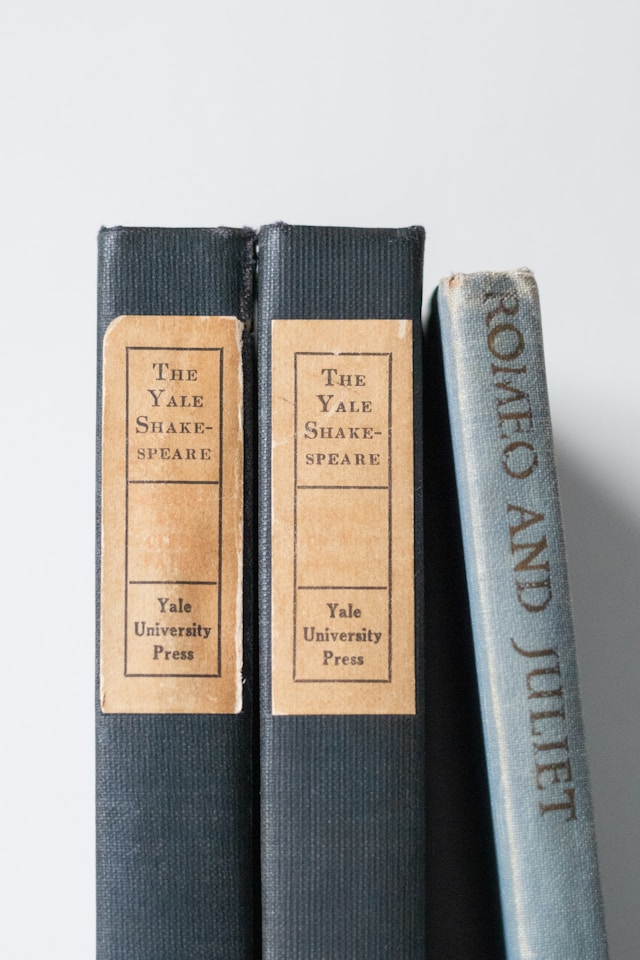 An image of three books of Shakespeare's work.