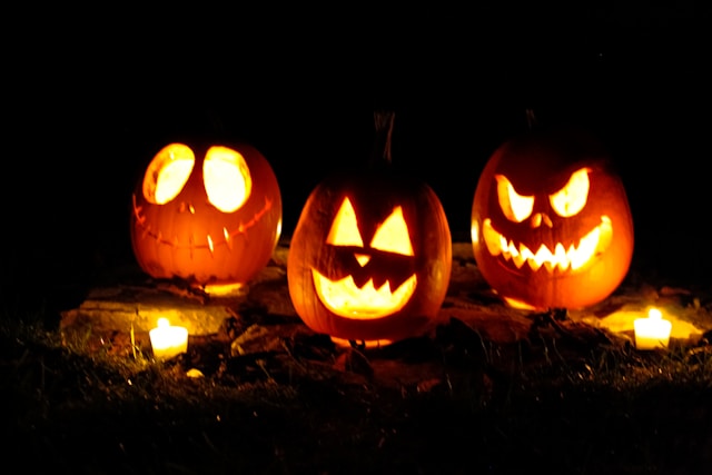 An image of Jackolanterns for Halloween 2024.