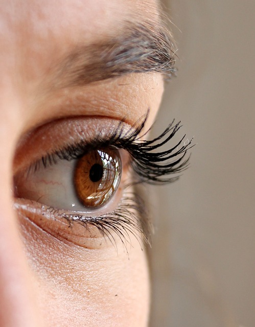 An image of a woman with long lashes.