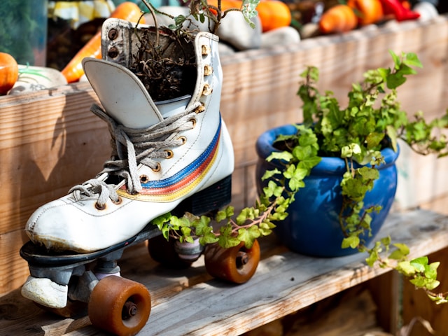 An image of a pair of roller skates