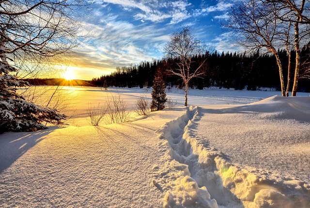 An image of the sun reflecting off the snow in winter.