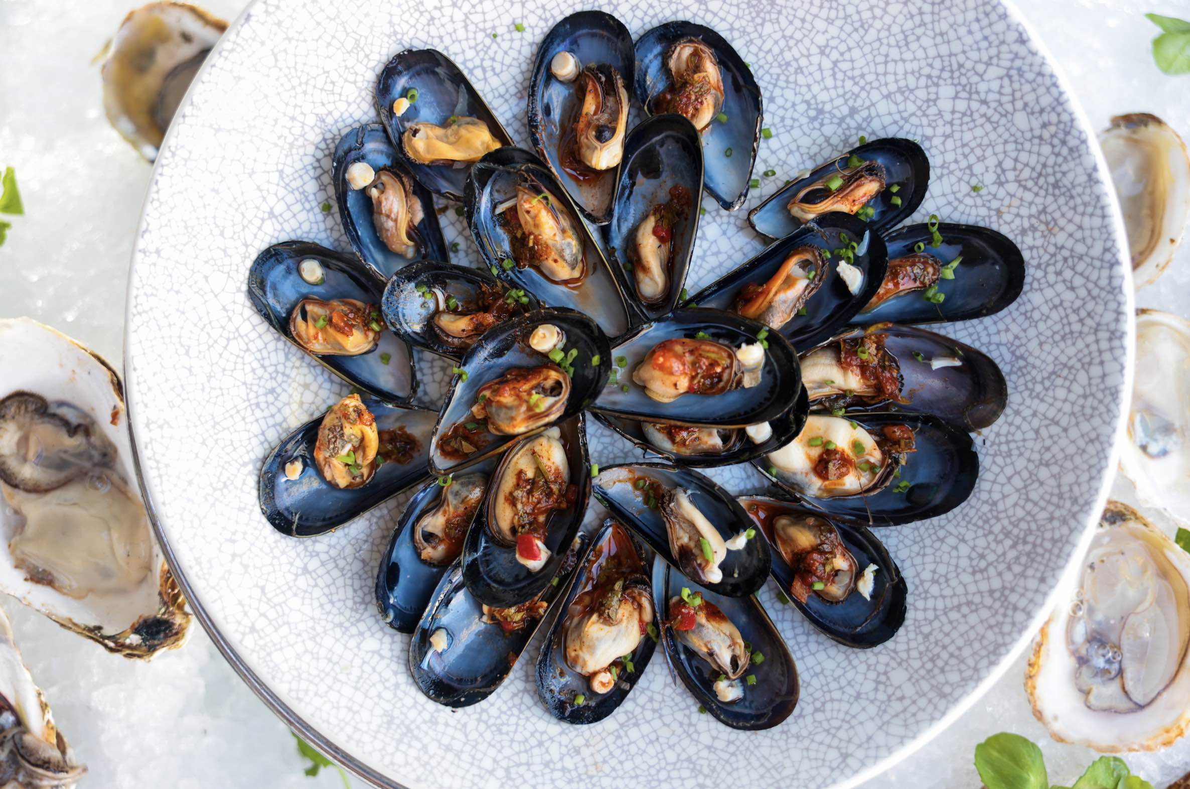 An image of the Steamed Black Mussels from The Lobster Santa Monica.