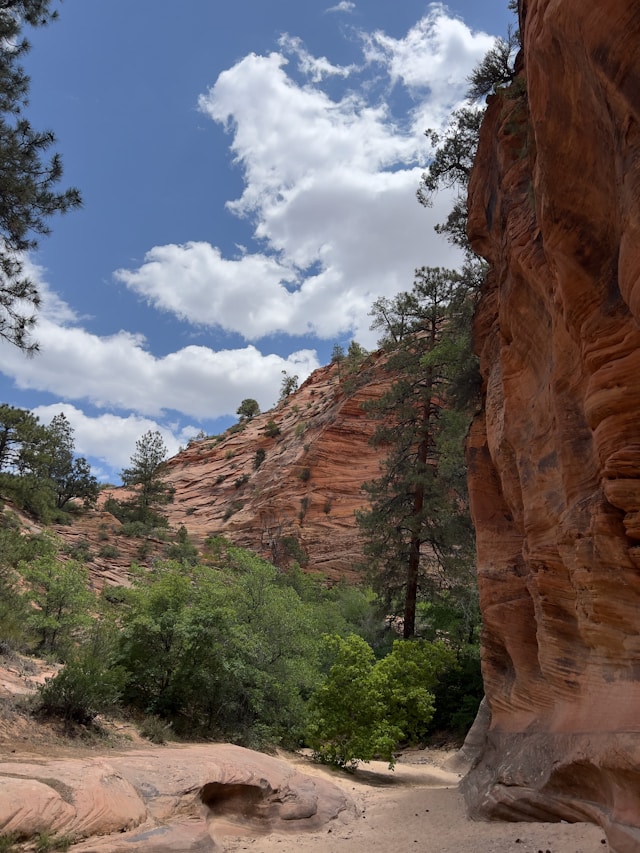 An image of Zion National Park.