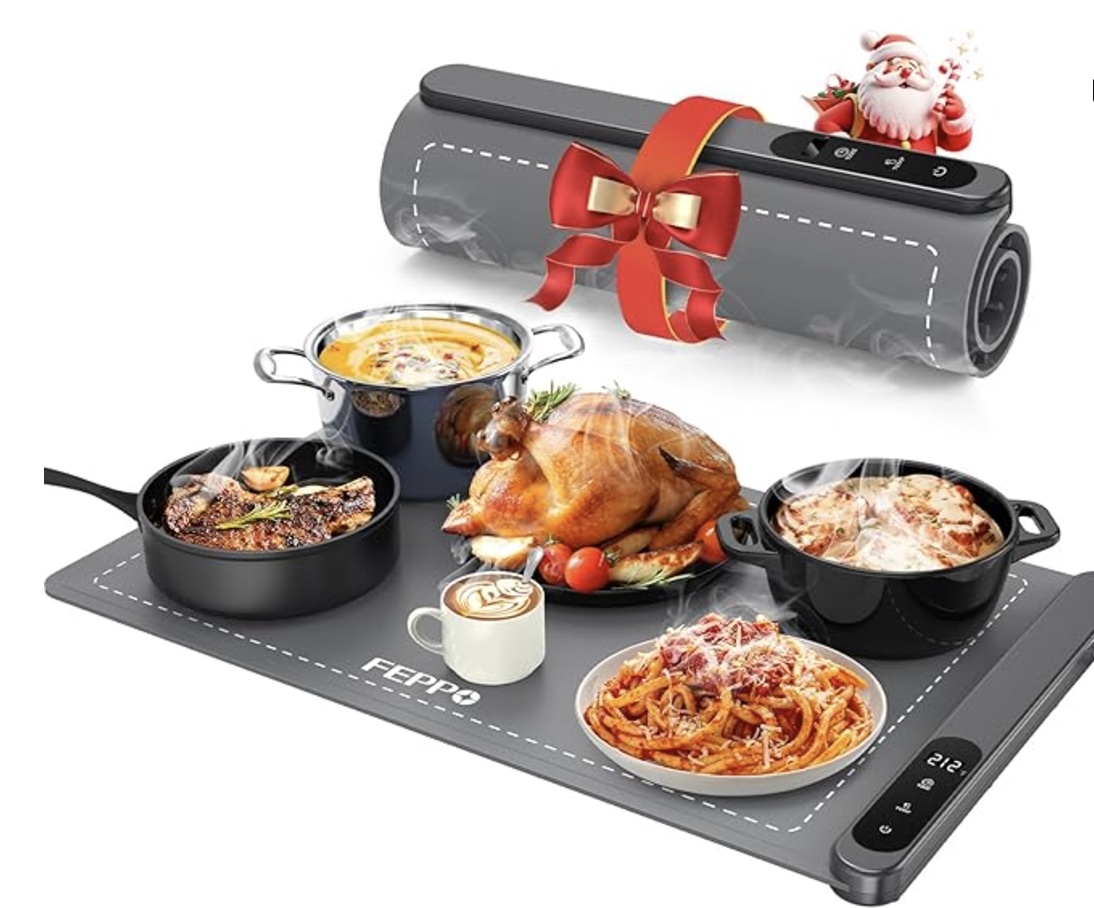 An image of the food warmer from FEPPO.