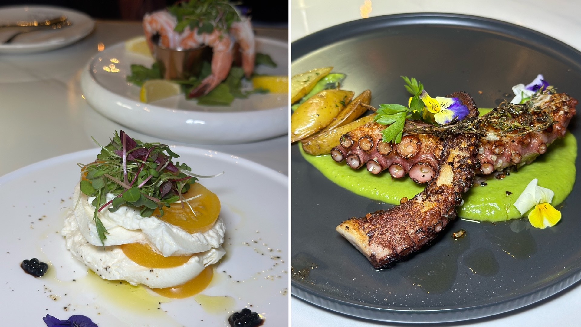 An image of some of the best Italian food near me: Burrata and Tomato Salad and Grilled Spanish Octopus