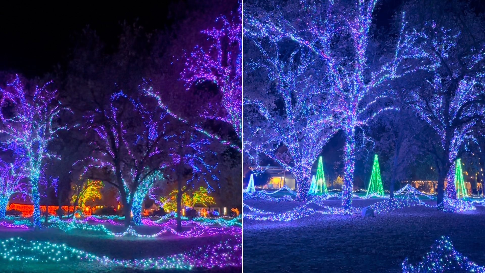 An image of two pictures of the Redding Garden of Lights displays.