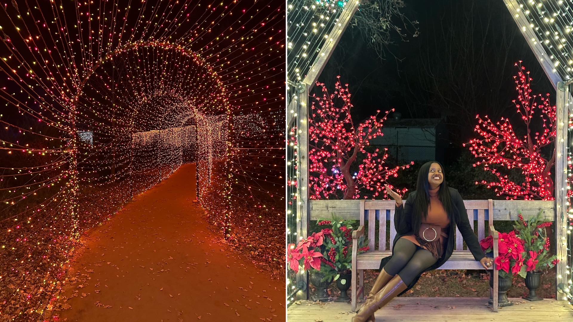 An image of two images from the Garden of Lights display.