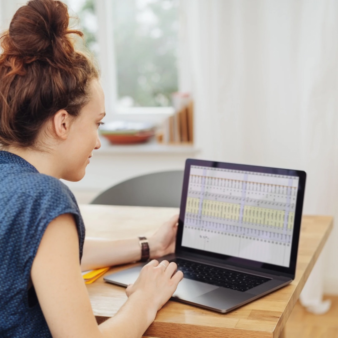 An image of a woman making a spreadsheet on her computer.