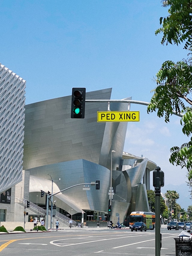 An image of the Walt Disney Concert Hall.