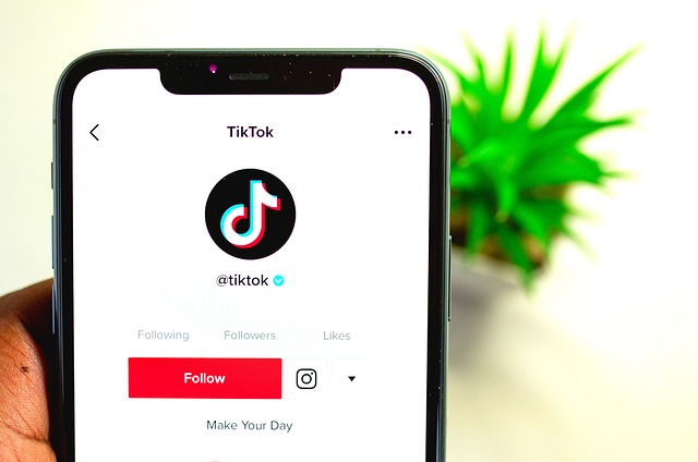 An image of a phone with TikTok open, showing the pending TikTok ban.