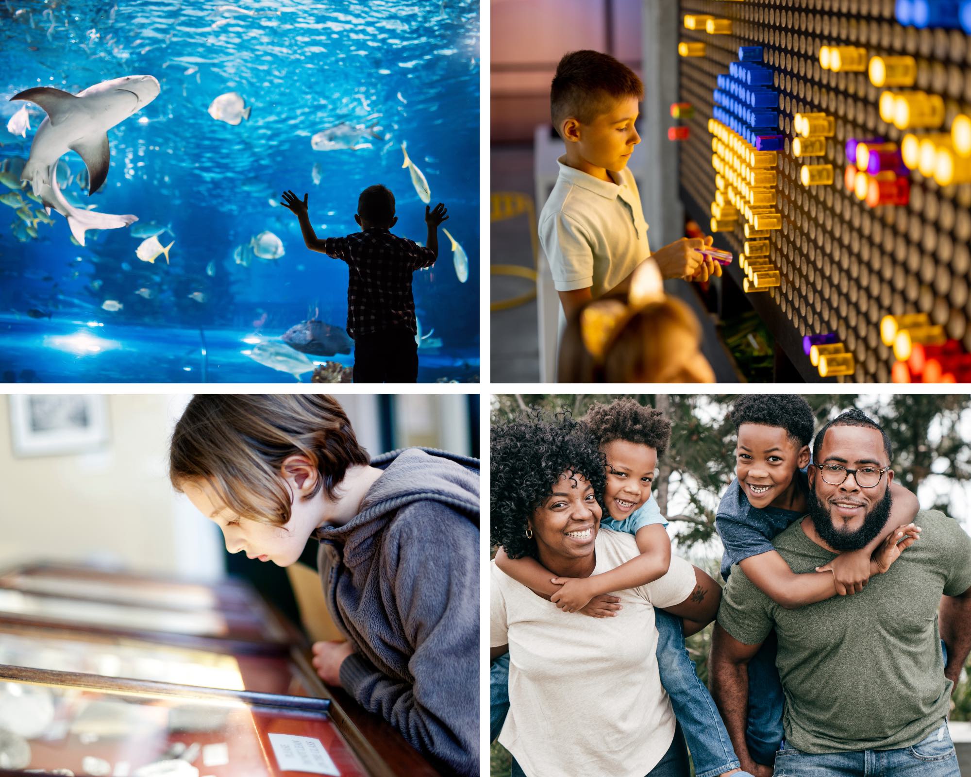 An image of 4 images of family-friendly activities.