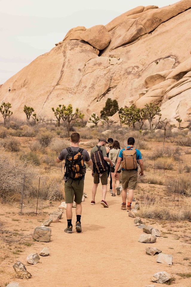 An image of hikers in Joshua Tree National Park.